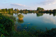 image12